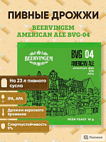   Beervingem    "American Ale BVG-04" 10 