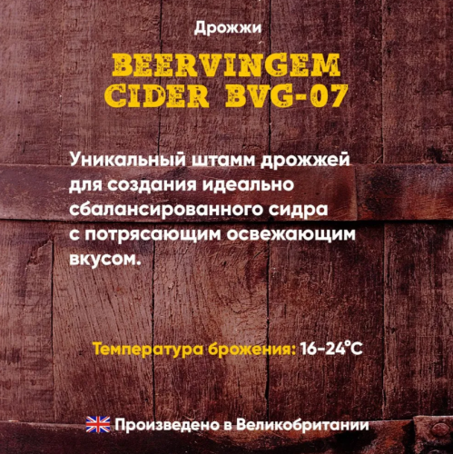  Beervingem   "Cider BVG-07", 10   2