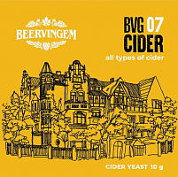  Beervingem   "Cider BVG-07", 10 